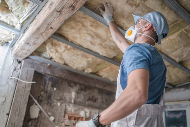 Best Energy-efficient Insulation  in Seminole Manor, FL