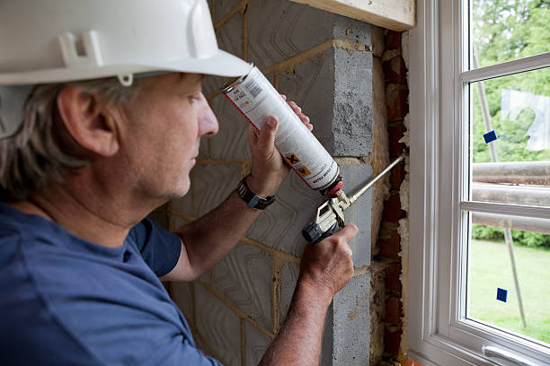 Best Insulation Repair Services  in Seminole Manor, FL
